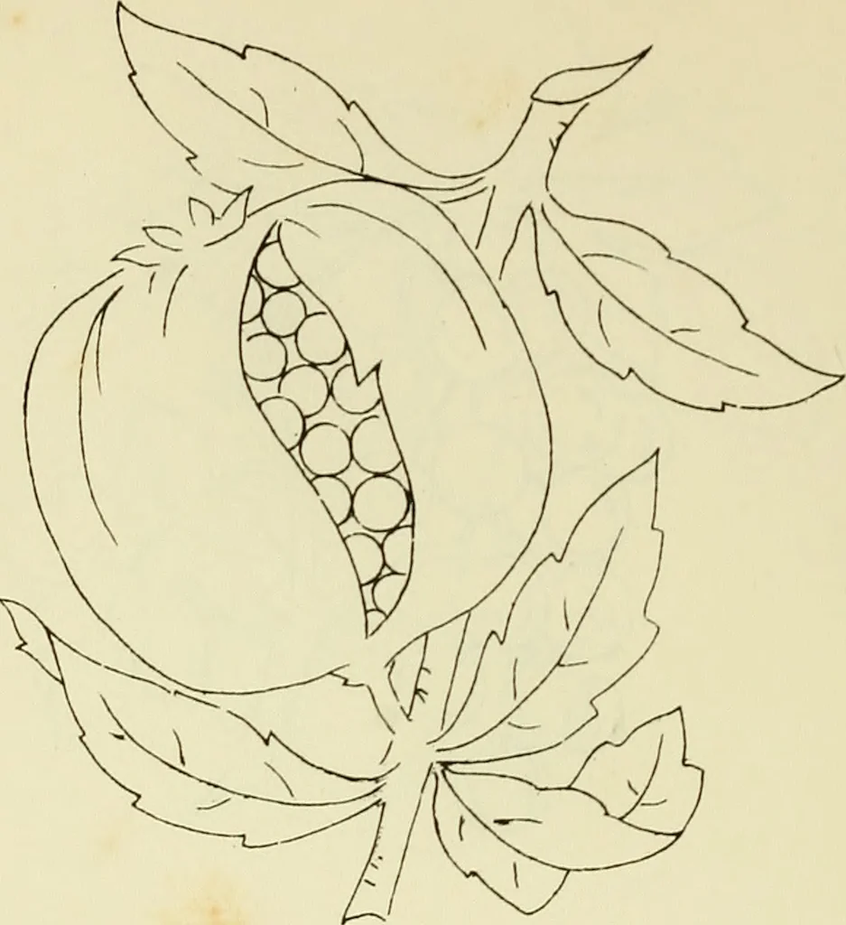 An illustration from Briggs & Co.'s patent transferring papers : patented for the United States of America, 1880, leaf 99