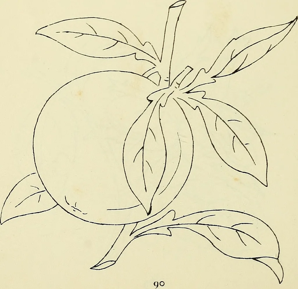 An illustration from Briggs & Co.'s patent transferring papers : patented for the United States of America, 1880, leaf 99