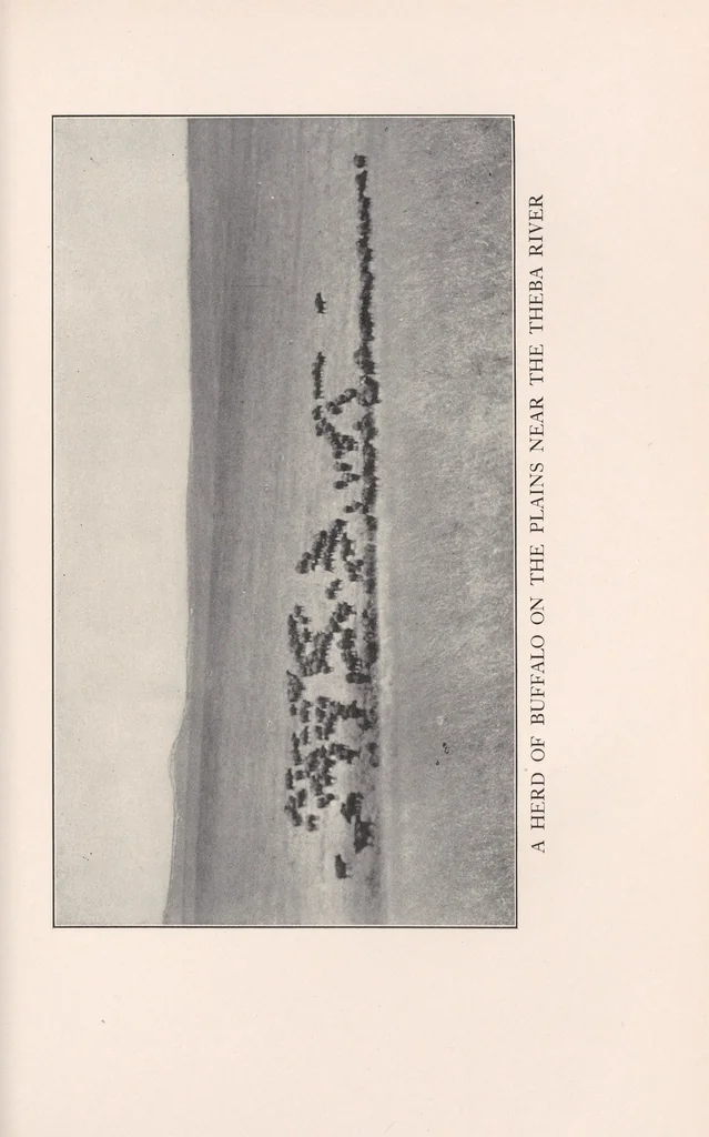 An illustration from In brightest Africa, 1924, leaf 151