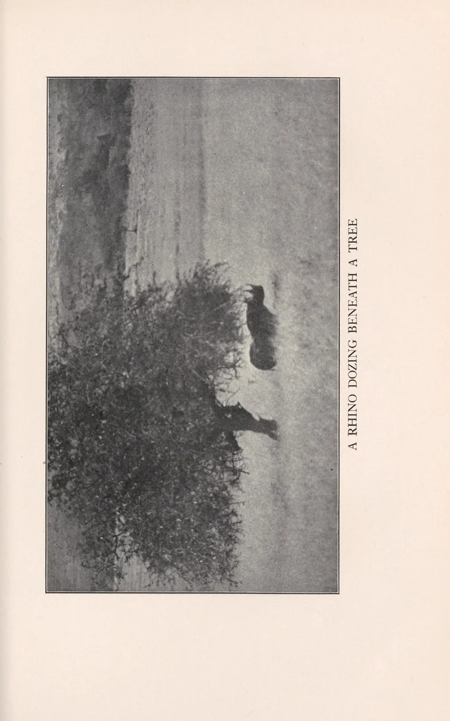 An illustration from In brightest Africa, 1924, leaf 179