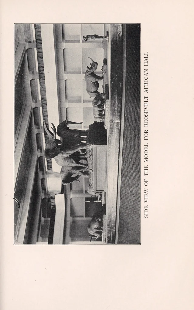 An illustration from In brightest Africa, 1924, leaf 393
