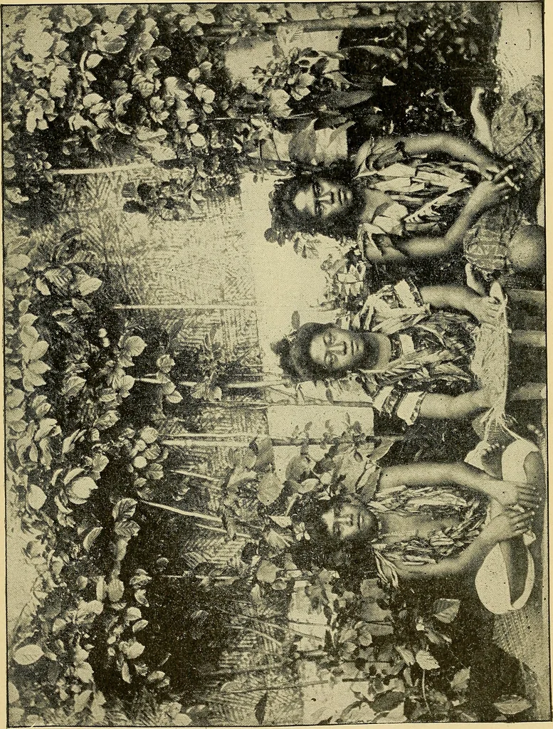 An illustration from The bright side of humanity; glimpses of life in every land, 1900, leaf 138