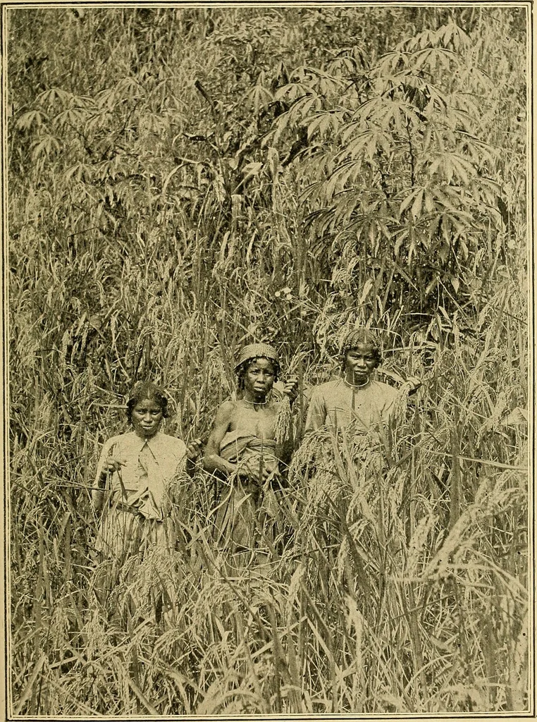 An illustration from The bright side of humanity; glimpses of life in every land, 1900, leaf 174