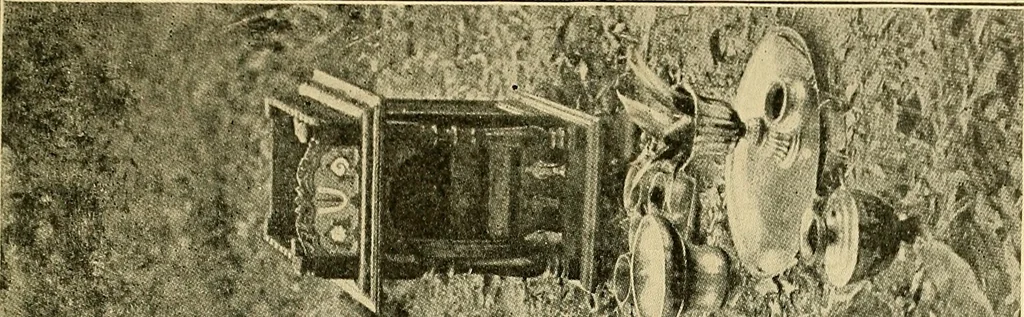 An illustration from The bright side of humanity; glimpses of life in every land, 1900, leaf 306