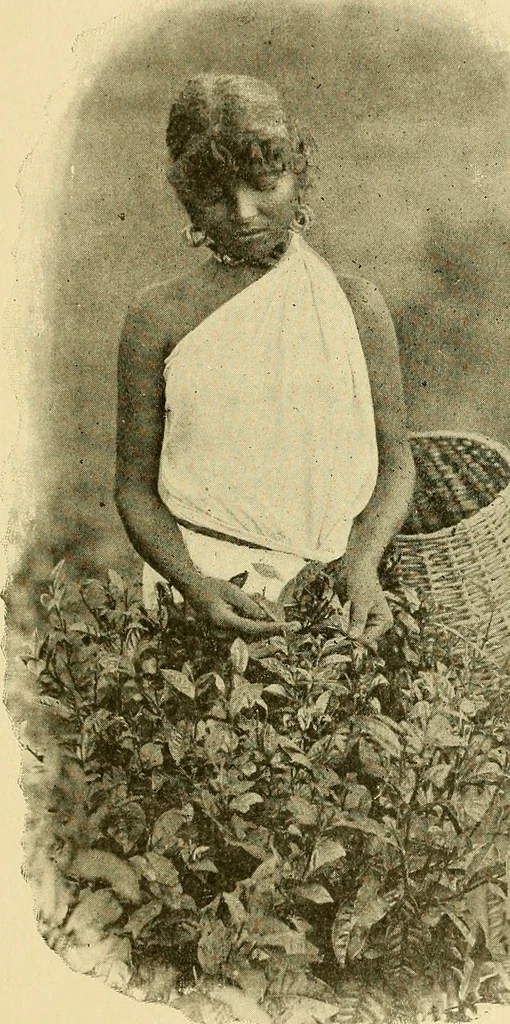 An illustration from The bright side of humanity; glimpses of life in every land, 1900, leaf 316