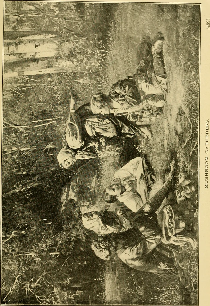 An illustration from The bright side of humanity; glimpses of life in every land, 1900, leaf 520