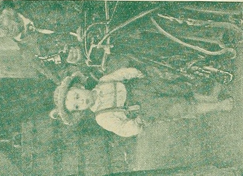 An illustration from The bright side of humanity; glimpses of life in every land, 1900, leaf 523