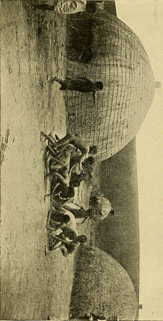 An illustration from The bright side of humanity; glimpses of life in every land, 1900, leaf 62