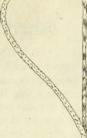 An illustration from Britannia romana: : or, The Roman antiquities of Britain: in three books. I. History of all the Roman transactions in Britain, also description of the Roman walls. II. Collection of the Roman inscriptions and sculptures discovered in Britain. III. The Roman geography of Britain, in which are given the originals of Ptolemy, Antonini Itinerarium, the Notitia, the anonymous Ravennas and Peutinger's table, so far as they relate to this island. To which are added a chronological table, and indexes to the inscriptions and sculptures. Also geographical indexes both of the Latin and English names of the Roman places in Britain, and a general index to the work, 1732, leaf 256