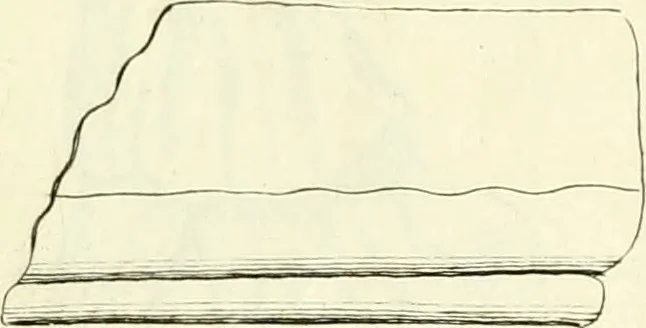 An illustration from Britannia romana: : or, The Roman antiquities of Britain: in three books. I. History of all the Roman transactions in Britain, also description of the Roman walls. II. Collection of the Roman inscriptions and sculptures discovered in Britain. III. The Roman geography of Britain, in which are given the originals of Ptolemy, Antonini Itinerarium, the Notitia, the anonymous Ravennas and Peutinger's table, so far as they relate to this island. To which are added a chronological table, and indexes to the inscriptions and sculptures. Also geographical indexes both of the Latin and English names of the Roman places in Britain, and a general index to the work, 1732, leaf 368