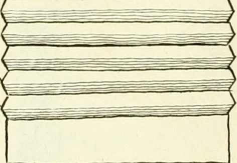 An illustration from Britannia romana: : or, The Roman antiquities of Britain: in three books. I. History of all the Roman transactions in Britain, also description of the Roman walls. II. Collection of the Roman inscriptions and sculptures discovered in Britain. III. The Roman geography of Britain, in which are given the originals of Ptolemy, Antonini Itinerarium, the Notitia, the anonymous Ravennas and Peutinger's table, so far as they relate to this island. To which are added a chronological table, and indexes to the inscriptions and sculptures. Also geographical indexes both of the Latin and English names of the Roman places in Britain, and a general index to the work, 1732, leaf 408