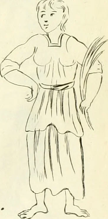 An illustration from Britannia romana: : or, The Roman antiquities of Britain: in three books. I. History of all the Roman transactions in Britain, also description of the Roman walls. II. Collection of the Roman inscriptions and sculptures discovered in Britain. III. The Roman geography of Britain, in which are given the originals of Ptolemy, Antonini Itinerarium, the Notitia, the anonymous Ravennas and Peutinger's table, so far as they relate to this island. To which are added a chronological table, and indexes to the inscriptions and sculptures. Also geographical indexes both of the Latin and English names of the Roman places in Britain, and a general index to the work, 1732, leaf 516