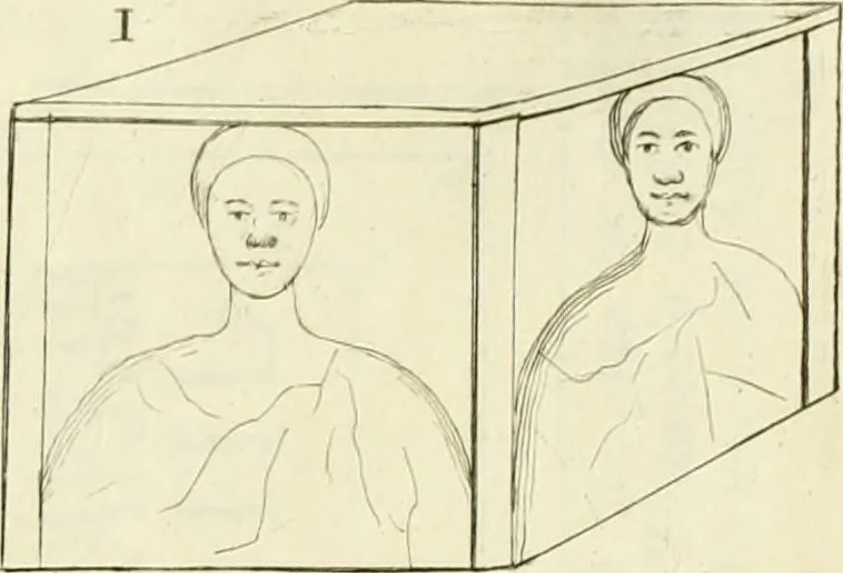 An illustration from Britannia romana: : or, The Roman antiquities of Britain: in three books. I. History of all the Roman transactions in Britain, also description of the Roman walls. II. Collection of the Roman inscriptions and sculptures discovered in Britain. III. The Roman geography of Britain, in which are given the originals of Ptolemy, Antonini Itinerarium, the Notitia, the anonymous Ravennas and Peutinger's table, so far as they relate to this island. To which are added a chronological table, and indexes to the inscriptions and sculptures. Also geographical indexes both of the Latin and English names of the Roman places in Britain, and a general index to the work, 1732, leaf 528