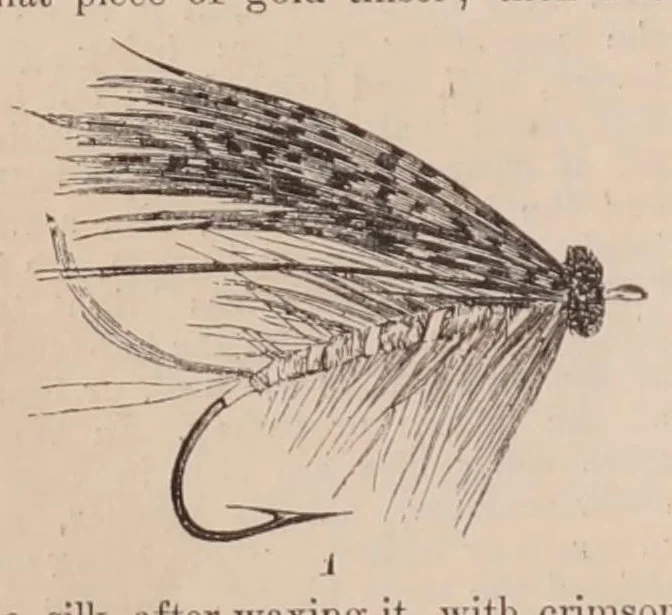 An illustration from British Rural Sports, 1878, 1878, leaf 367