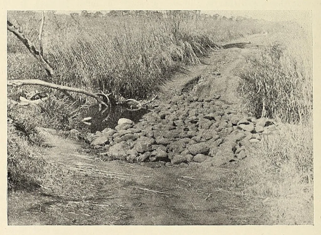 An illustration from British Central Africa : an attempt to give some account of a portion of the territories under British influence, north of the Zambesi, 1897, leaf 150
