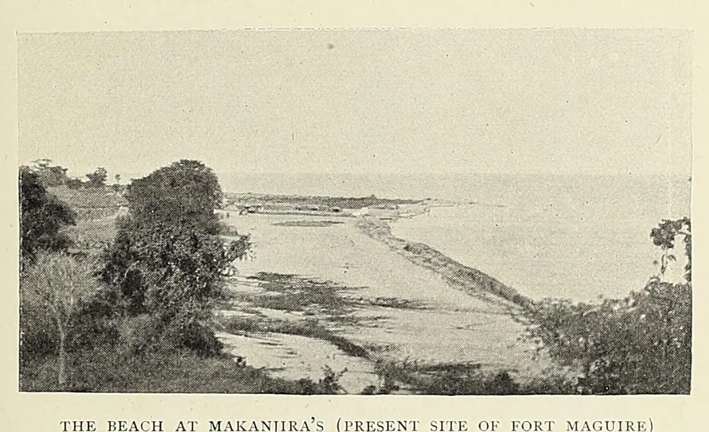An illustration from British Central Africa : an attempt to give some account of a portion of the territories under British influence, north of the Zambesi, 1897, leaf 165