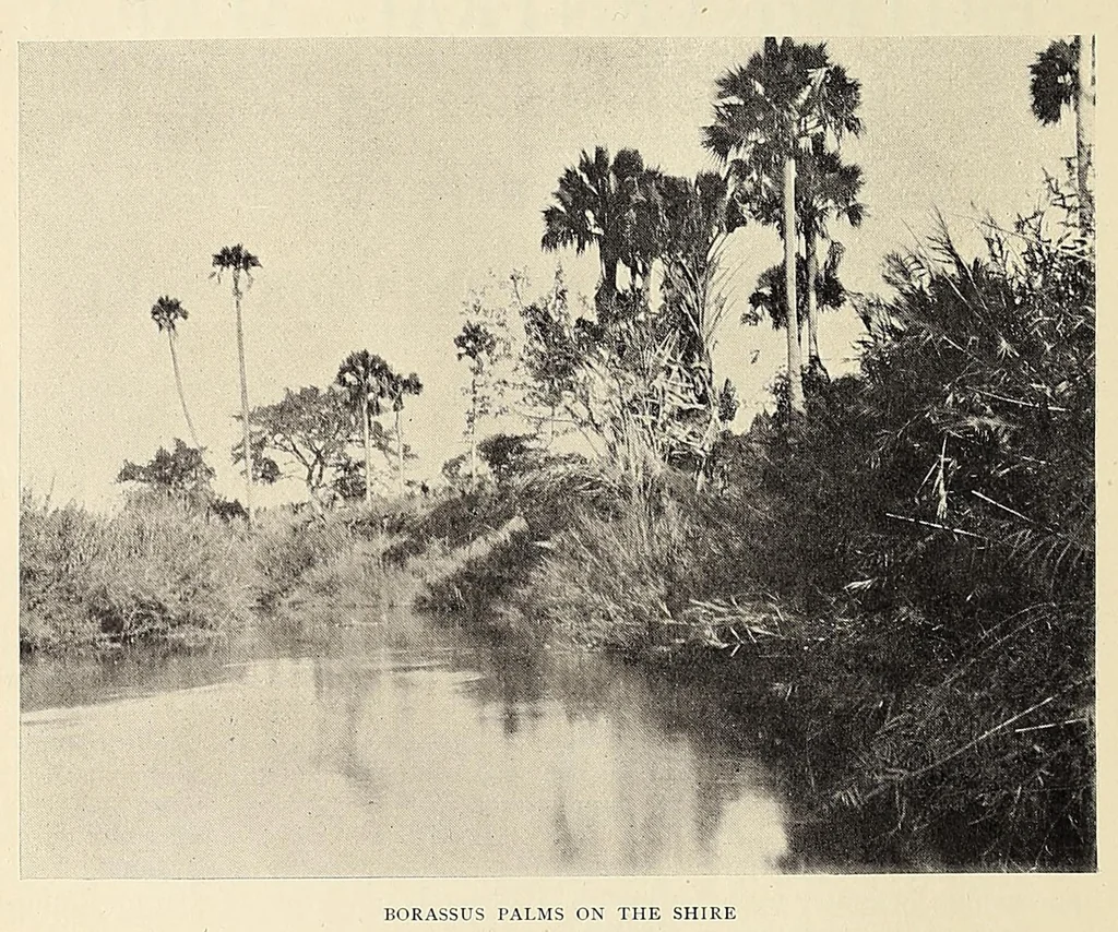 An illustration from British Central Africa : an attempt to give some account of a portion of the territories under British influence, north of the Zambesi, 1897, leaf 30