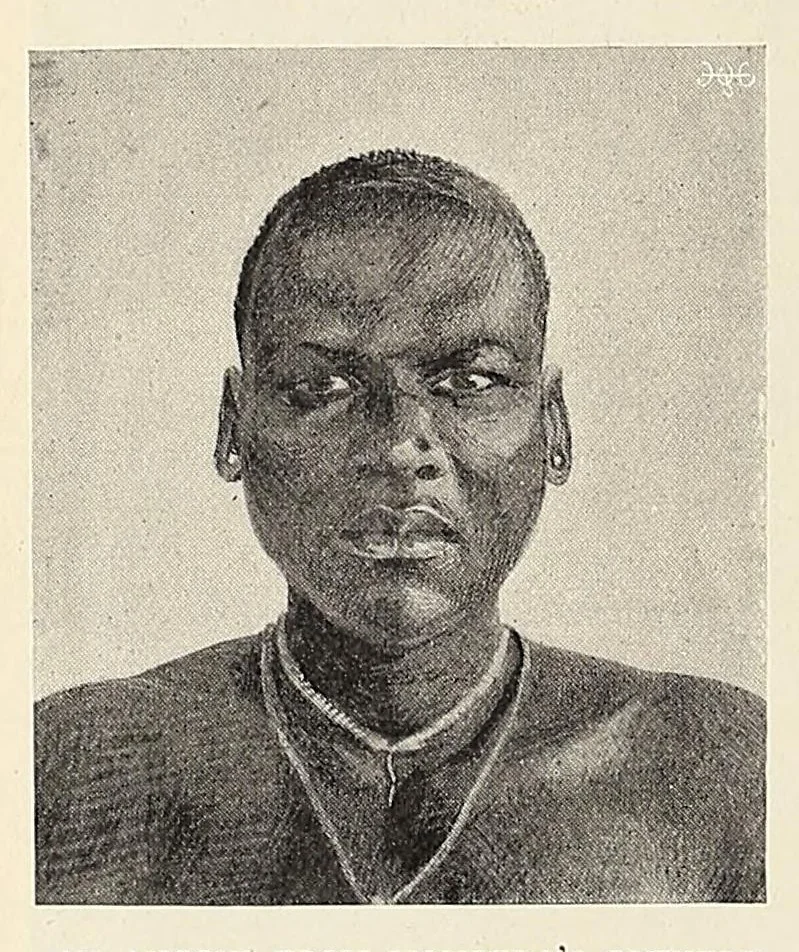 An illustration from British Central Africa : an attempt to give some account of a portion of the territories under British influence, north of the Zambesi, 1897, leaf 446