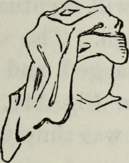 An illustration from British costume during XIX centuries (civil and ecclesiastical), 1910, leaf 192