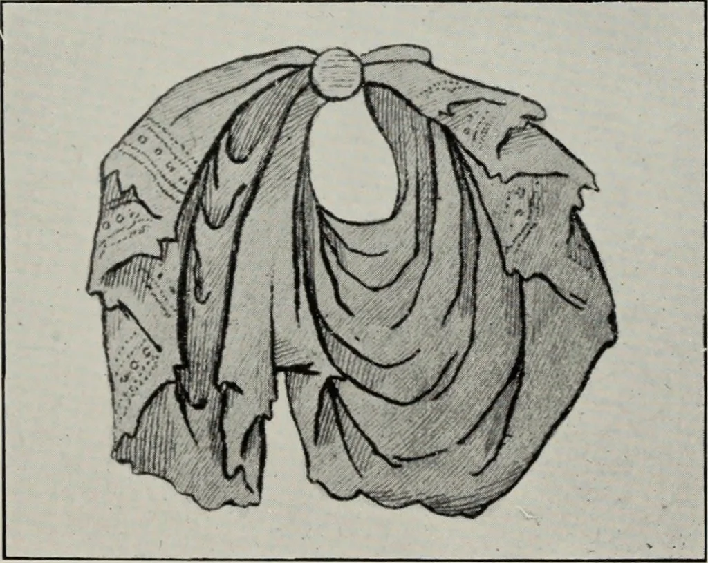 An illustration from British costume during XIX centuries (civil and ecclesiastical), 1910, leaf 27
