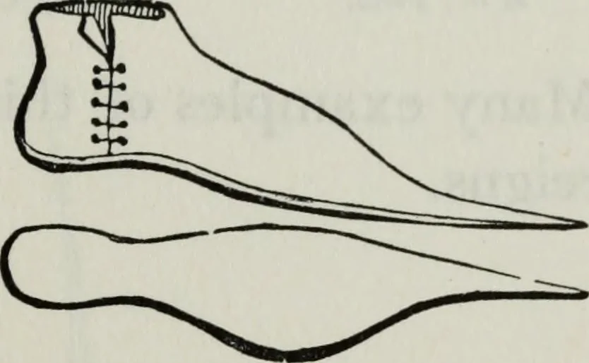 An illustration from British costume during XIX centuries (civil and ecclesiastical), 1910, leaf 294