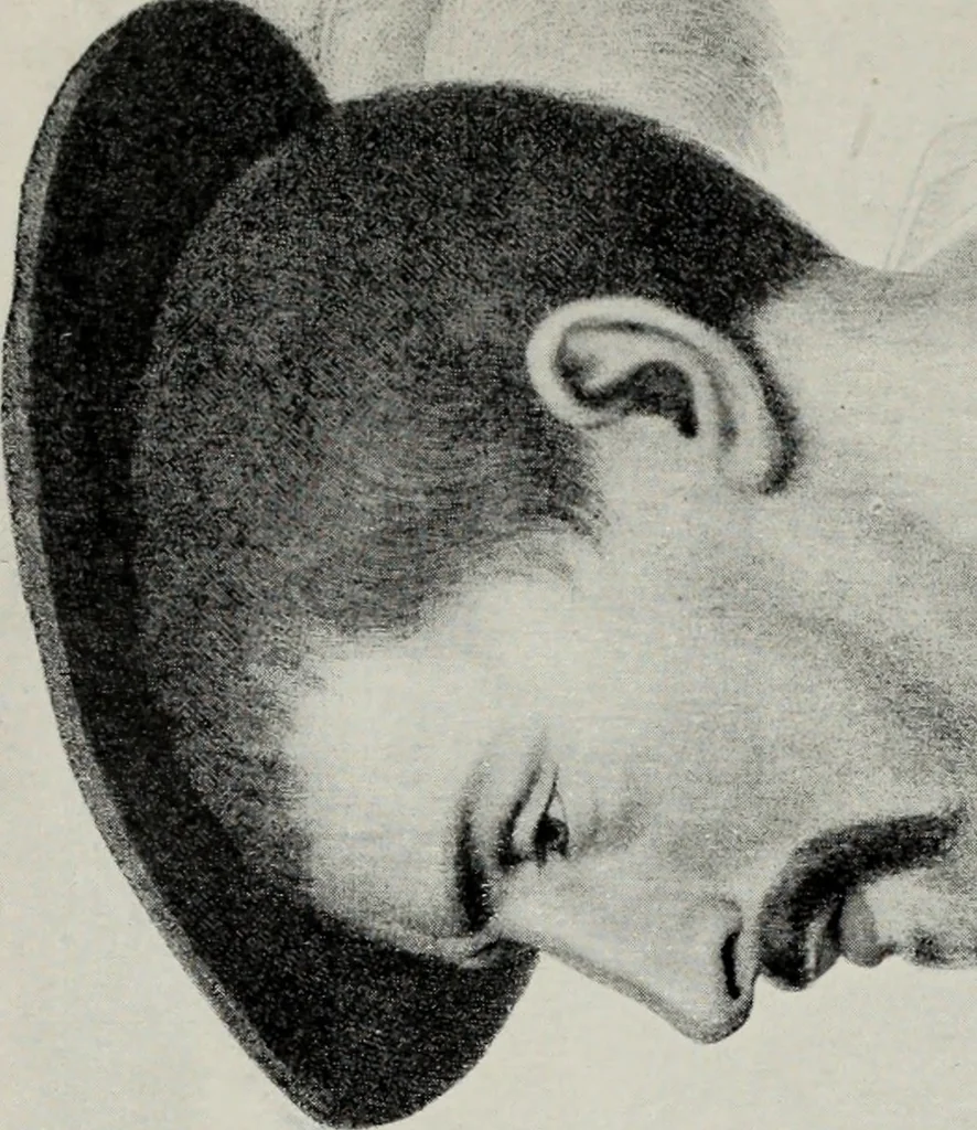 An illustration from British costume during XIX centuries (civil and ecclesiastical), 1910, leaf 341
