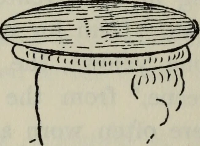 An illustration from British costume during XIX centuries (civil and ecclesiastical), 1910, leaf 353