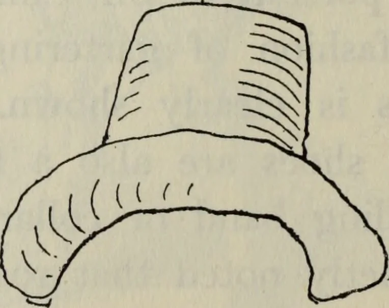 An illustration from British costume during XIX centuries (civil and ecclesiastical), 1910, leaf 381