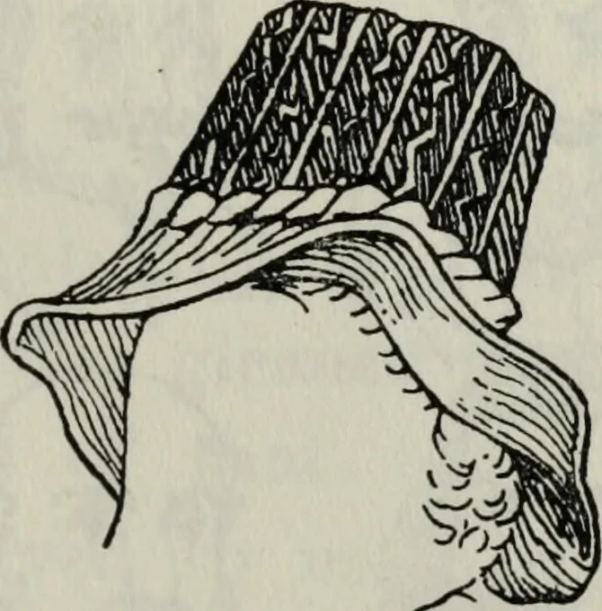 An illustration from British costume during XIX centuries (civil and ecclesiastical), 1910, leaf 382