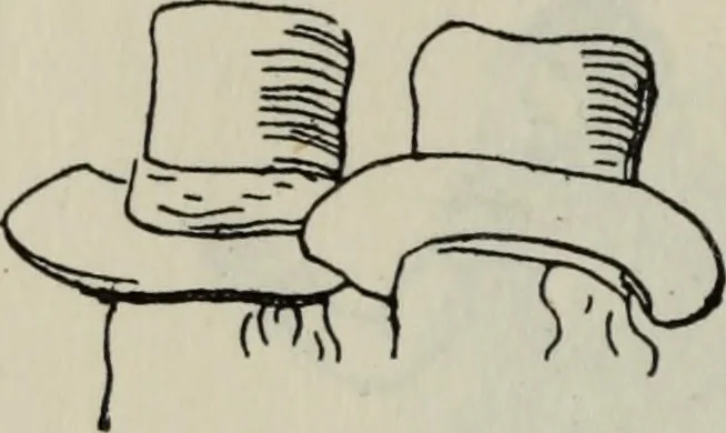 An illustration from British costume during XIX centuries (civil and ecclesiastical), 1910, leaf 387