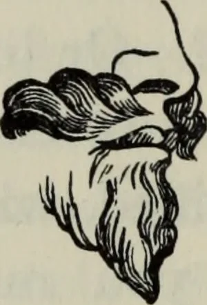 An illustration from British costume during XIX centuries (civil and ecclesiastical), 1910, leaf 419