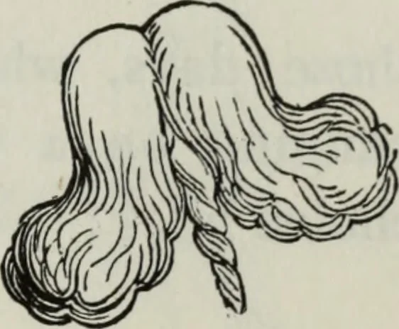 An illustration from British costume during XIX centuries (civil and ecclesiastical), 1910, leaf 458