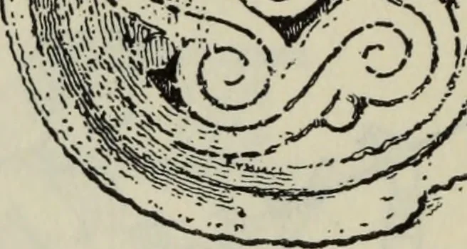 An illustration from British costume during XIX centuries (civil and ecclesiastical), 1910, leaf 59