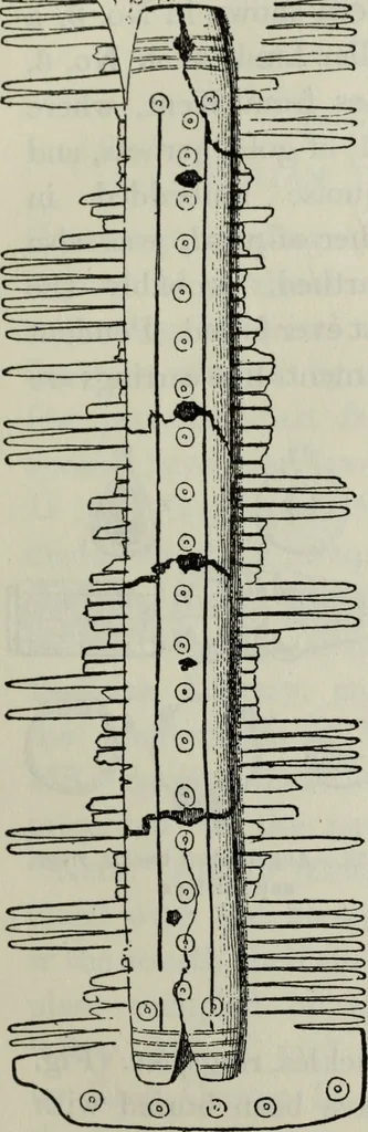 An illustration from British costume during XIX centuries (civil and ecclesiastical), 1910, leaf 62