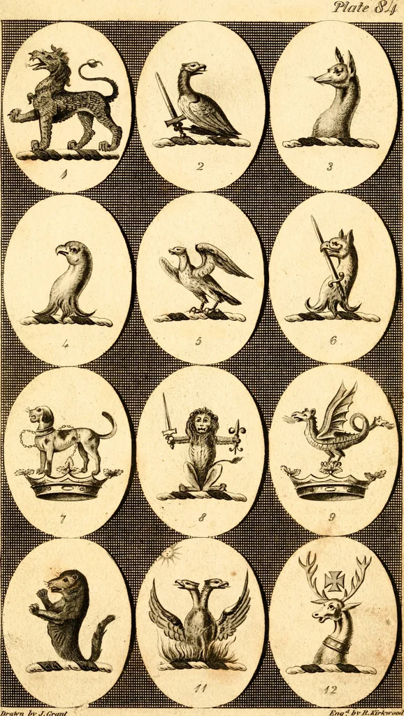An illustration from British crests : containing the crests and mottos of the families of Great Britain and Ireland; together with those of the principal cities; and a glossary of heraldic terms, 1817, leaf 174