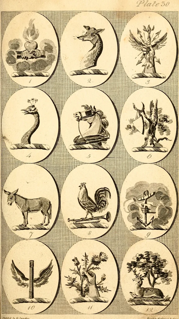 An illustration from British crests : containing the crests and mottos of the families of Great Britain and Ireland; together with those of the principal cities; and a glossary of heraldic terms, 1817, leaf 66