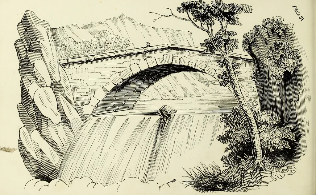 An illustration from The British drawing-book : or, the art of drawing with accuracy and beauty, containing a series of progressive lessons on drawing landscape scenery, marine views, architecture, animals, the human figure, &c. &c. also, a complete system of practical perspective, illustrated with numerous practical subjects, 1845, leaf 109
