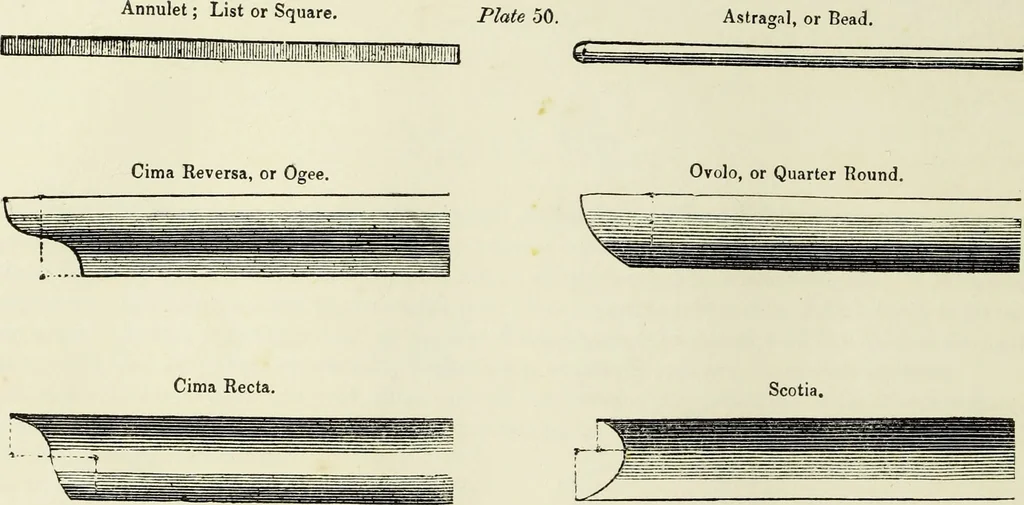 An illustration from The British drawing-book : or, the art of drawing with accuracy and beauty, containing a series of progressive lessons on drawing landscape scenery, marine views, architecture, animals, the human figure, &c. &c. also, a complete system of practical perspective, illustrated with numerous practical subjects, 1845, leaf 173