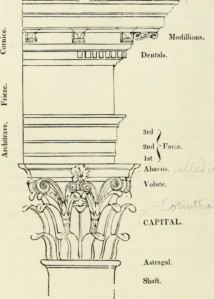 An illustration from The British drawing-book : or, the art of drawing with accuracy and beauty, containing a series of progressive lessons on drawing landscape scenery, marine views, architecture, animals, the human figure, &c. &c. also, a complete system of practical perspective, illustrated with numerous practical subjects, 1845, leaf 213