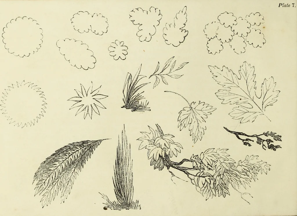 An illustration from The British drawing-book : or, the art of drawing with accuracy and beauty, containing a series of progressive lessons on drawing landscape scenery, marine views, architecture, animals, the human figure, &c. &c. also, a complete system of practical perspective, illustrated with numerous practical subjects, 1845, leaf 29