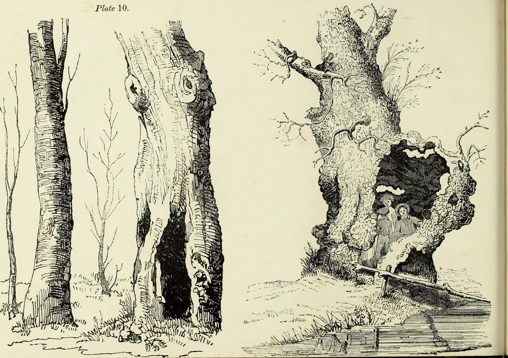 An illustration from The British drawing-book : or, the art of drawing with accuracy and beauty, containing a series of progressive lessons on drawing landscape scenery, marine views, architecture, animals, the human figure, &c. &c. also, a complete system of practical perspective, illustrated with numerous practical subjects, 1845, leaf 39