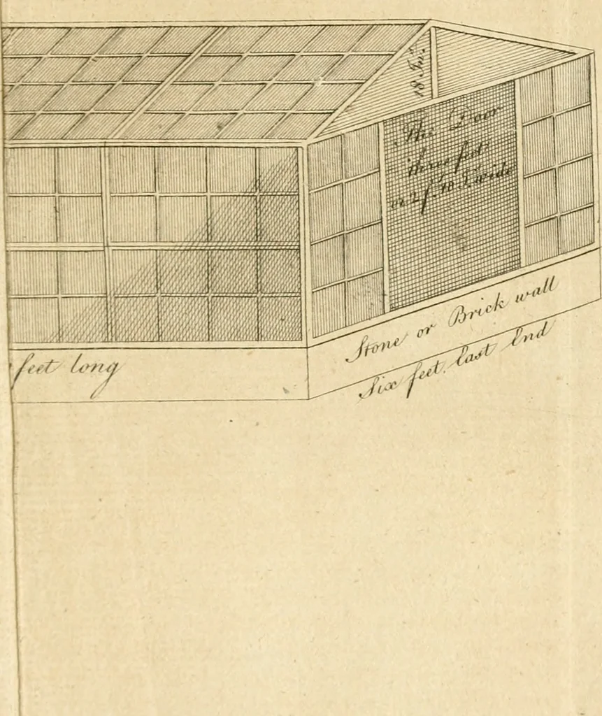 An illustration from The British gardener's new director : chiefly adapted to the climate of the northern counties: directing the necessary works in the kitchen, fruit and pleasure gardens, and in the nursery, greenhouse, and stove ..., 1771, leaf 424