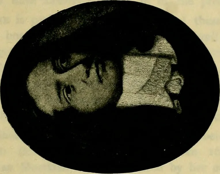 An illustration from British miniature painters and their works, 1898, leaf 112