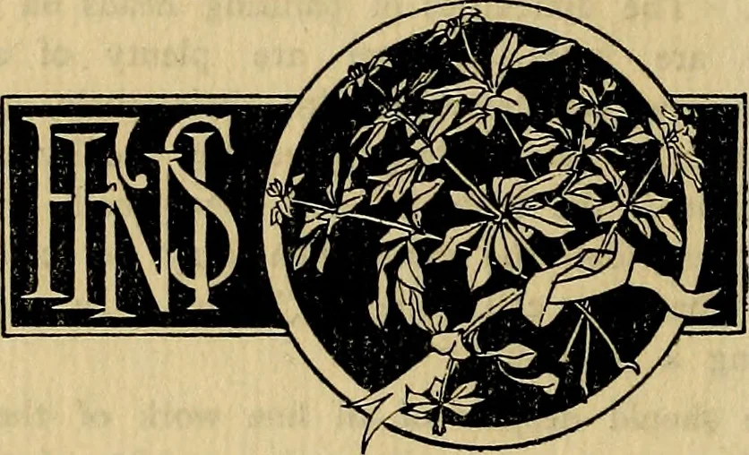 An illustration from British miniature painters and their works, 1898, leaf 305