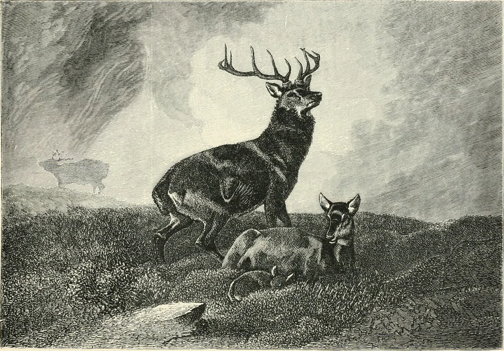 An illustration from British painters; with eighty examples of their work engraved on wood, 1881, leaf 125