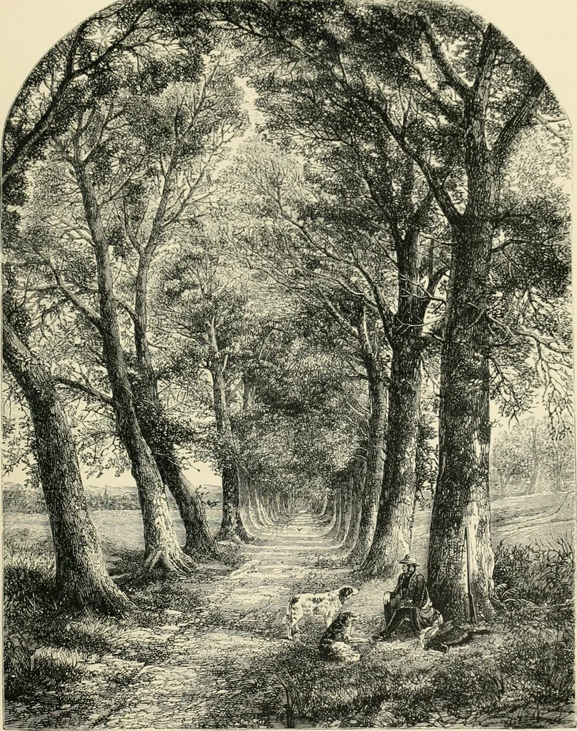 An illustration from British painters; with eighty examples of their work engraved on wood, 1881, leaf 152
