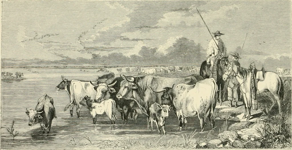 An illustration from British painters; with eighty examples of their work engraved on wood, 1881, leaf 162