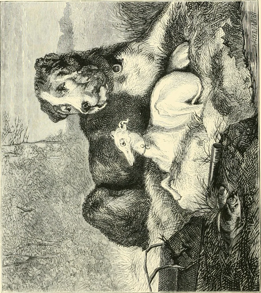 An illustration from British painters; with eighty examples of their work engraved on wood, 1881, leaf 123