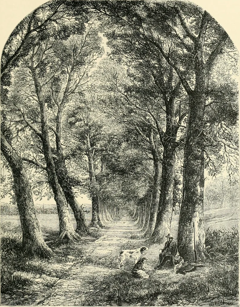 An illustration from British painters; with eighty examples of their work engraved on wood, 1881, leaf 152