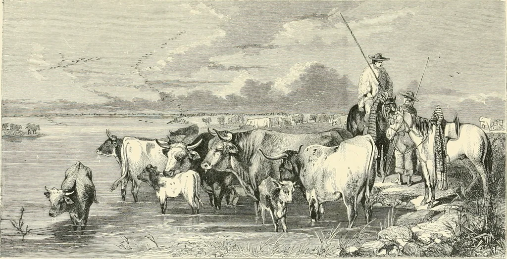 An illustration from British painters; with eighty examples of their work engraved on wood, 1881, leaf 162